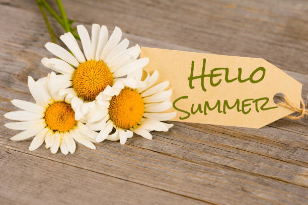 Welcome Summer! 